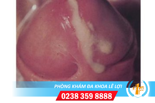 Nội dung đoạn văn bản của bạn (27)