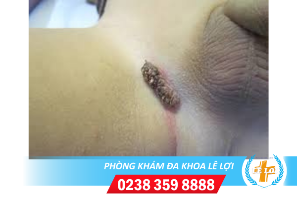 Nội dung đoạn văn bản của bạn (50)