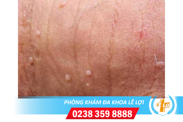 Nội dung đoạn văn bản của bạn (51)